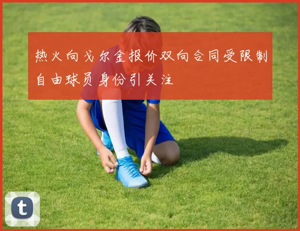 热火向戈尔金报价双向合同受限制自由球员身份引关注